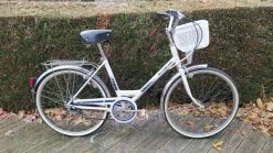 Joli Vlo Pour La Ville_rvis