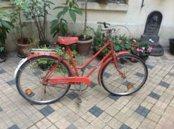 Vlo De Marque Champion