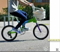 Velo Puma Pico