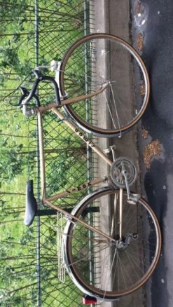 Beau Velo Simon Dor Taille 57