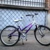 Velo Raleigh 10-14 Ans -Le Vélo Soldes Magasin jy59674u10408