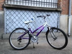 Velo Raleigh 10-14 Ans