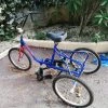 Tricycle Adulte -Le Vélo Soldes Magasin kv57ths314047