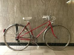 Vlo D'occasion Vintage, Marque Eurostar