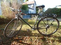 Vsf Fahrradmanufaktur Simplicity 8cht Fl Shimano Nexus 8