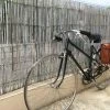Bicyclette Dame Vintage -Le Vélo Soldes Magasin svyy2j2j12412