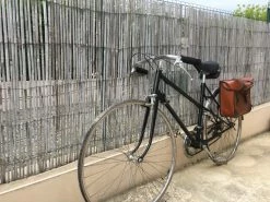 Bicyclette Dame Vintage