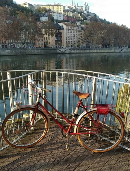 Vlo Rtro Robust 3 Vlo Rtro Robust