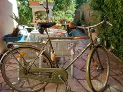 Vlo Peugeot Homme Vintage