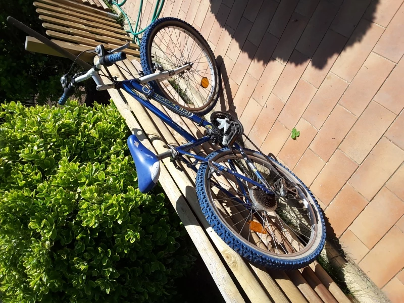 Vlo Bleu 24 Pouces 3 Vlo Bleu 24 Pouces