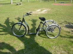 Tricycle Adulte