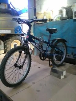 Shark "saracen" 6/8 Ans