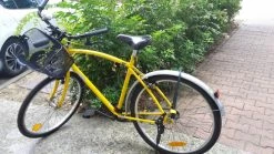 Joli Vlo Jaune, Prix Dbattre.