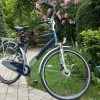 Affaire Vlo Hollandais Tat Neuf -Le Vélo Soldes Magasin xtqv8sga11374
