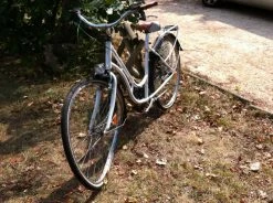 Vend Vlo Fille Endommag En Pices Dtaches