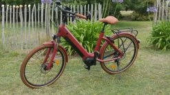 Vends Vae Haut De Gamme Iswann A8 Di2 380km