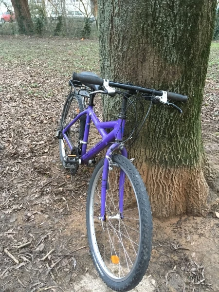 Vlo Et Cadenas 3 Vlo Et Cadenas